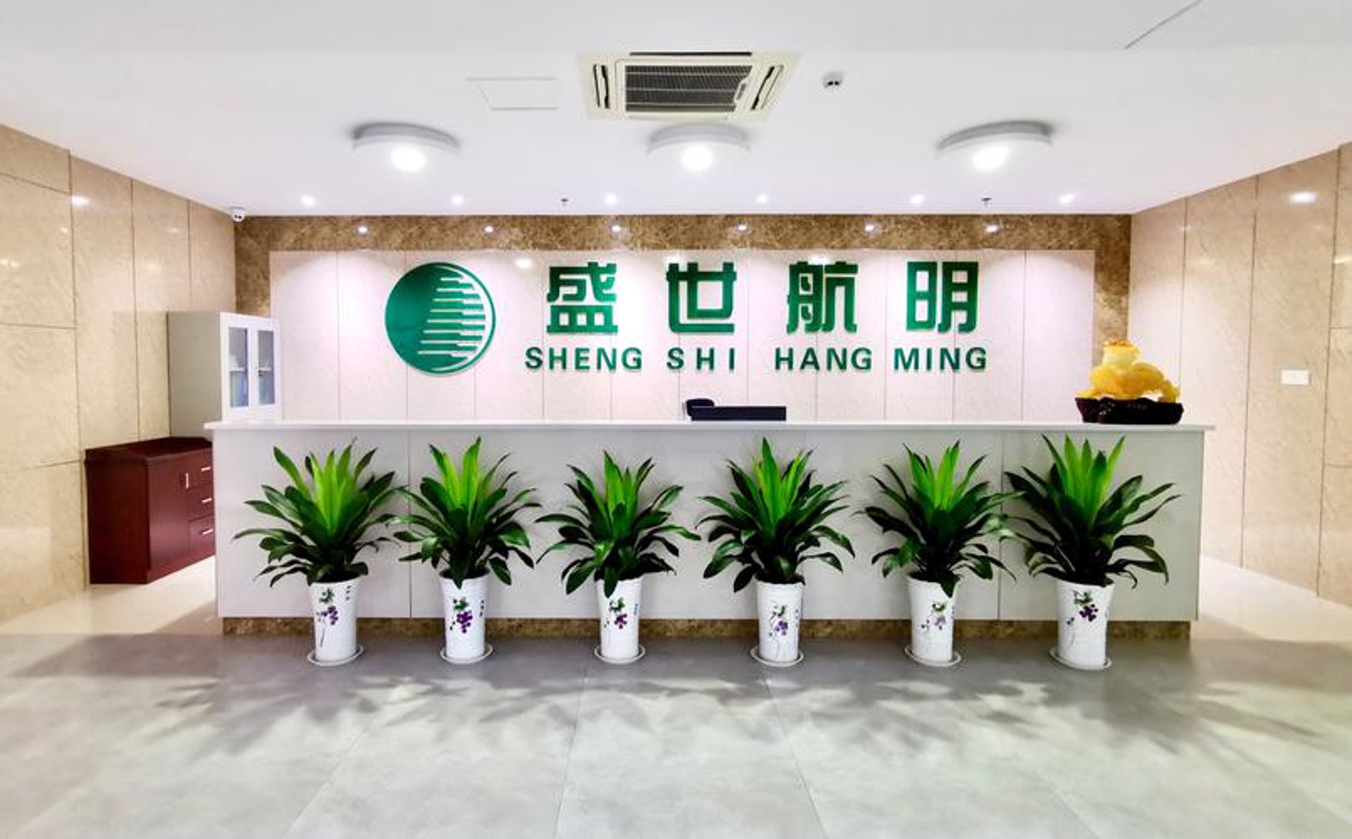 盛世通网络科技